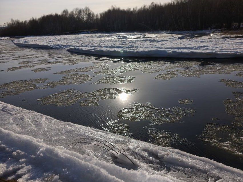 ������ �������� � 2025: ����������� ��� ���������� ��������� �� �������� ��������������� �����������