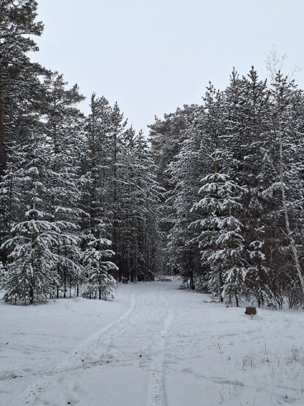 ������ �������� � 2025: ��������� � �������� ���������� ���� �������� ������������