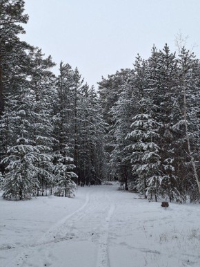 ������ �������� � 2025: ��������� � �������� ���������� ���� �������� ������������