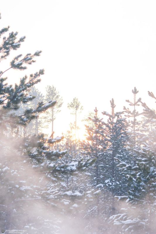 ������ ����, �����������!. �������� ��� � ����������� ����������! ���� �� ��-������ �������� ������� @zabrtk | �� � MAX