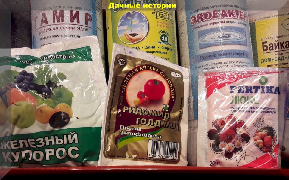 ��� ��������� ������� ��������� �����: ������ ��� ���������