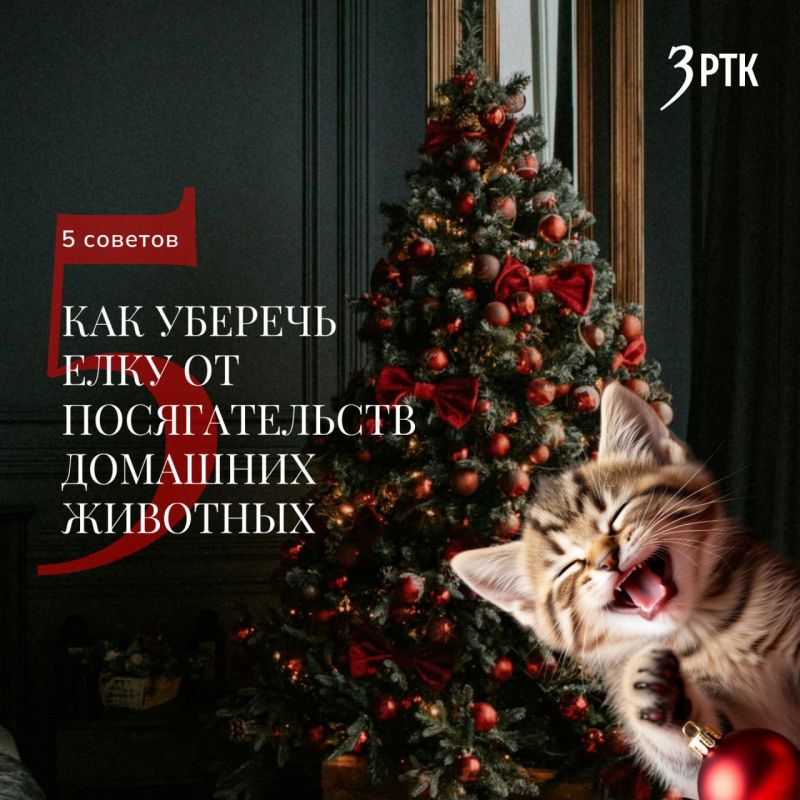 Как уберечь елку от посягательств домашних животных?