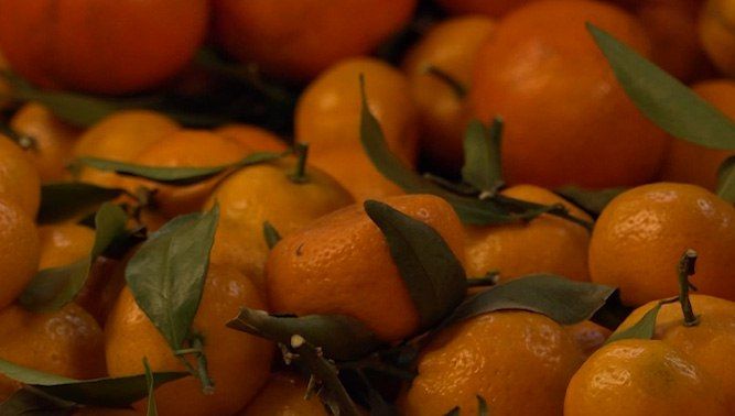 Как минимум на месяц Забайкальский край обеспечен мандаринами