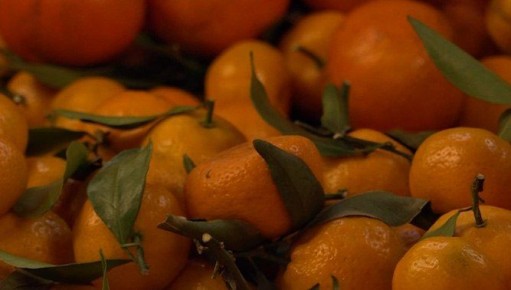 ��� ������� �� ����� ������������� ���� ��������� �����������