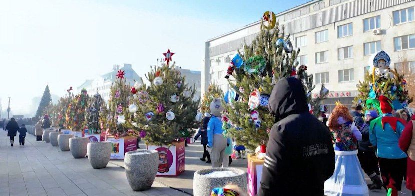 Народное голосование за лучшую ёлку Забайкалья вышло на финишную прямую