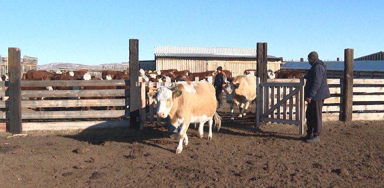 ��������� ��������� �� �������� ���������� �������� � ���������� � 2025 ���� �������� ����� 17 ���������� ���