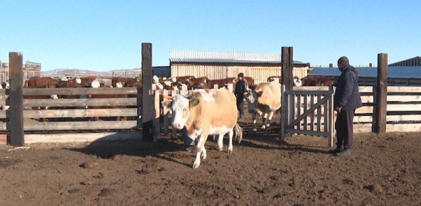 ��������� ��������� �� �������� ���������� �������� � ���������� � 2025 ���� �������� ����� 17 ���������� ���