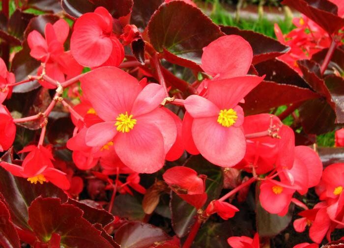 ������������� ��������� ��������, ������� �������� ���� �� ����� �����