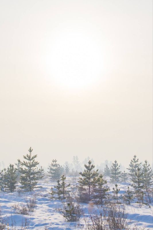 ������ ��������. ������ ��� ����������� ���������� �� ���� ���� ����: ��- ����� �������� ������� @zabrtk | �� � MAX