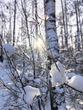 Доброе утро, забайкальцы!. Вот и пятница подкралась