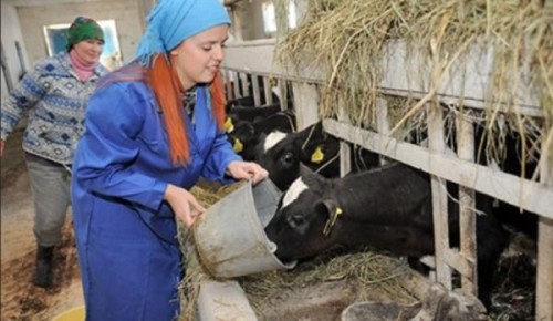 ������ ��� ������ �� ����: ��� ����� ����� � 2025 ����