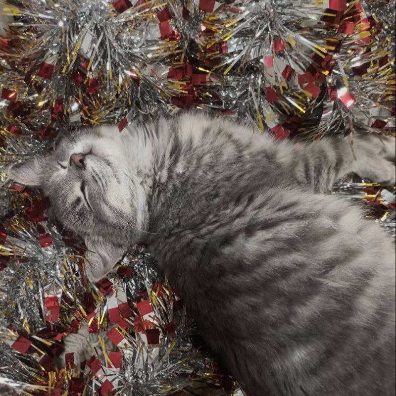 � ����-���������� ��������� �������� ����� ��������