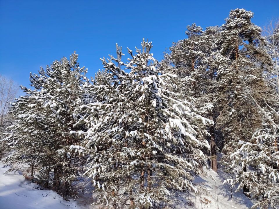 ������ ����, ����������! ������� 27 �������, �������