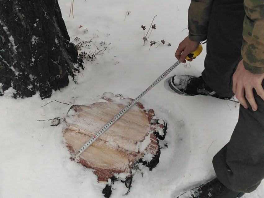 ������������ ������ ������ ���������� �� ������ ���������������� 17 ������� ���������� �����