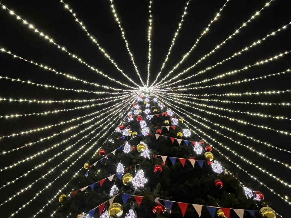 Новый год шагает по планете