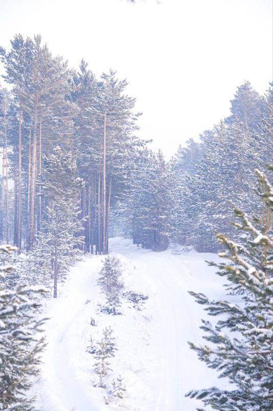 ������ ��������. ������� ��������� ������� ����� 15-20 �/�