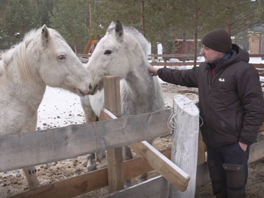 ������������� ������� ����� ������� �� ��������������� ������ ������� �������� �������