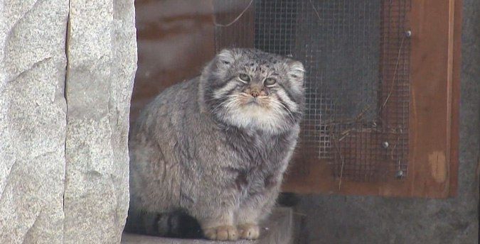 � �������� ����������� ��������� ������� ������������� ������� ��� ���� ������