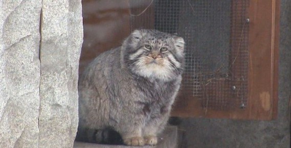 � �������� ����������� ��������� ������� ������������� ������� ��� ���� ������