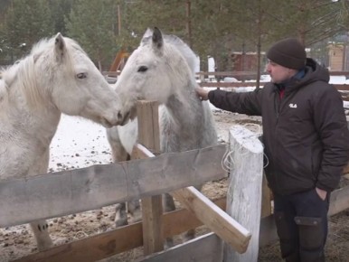 ������������� ������� ����� ������� �� ����������� ���������������� �����������-������� ������ ������� �������� �������