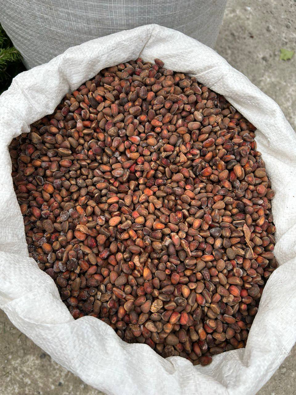 Подведены итоги Новогодней универсальной ярмарки выходного дня, которая проходила в минувшее воскресенье, 28 декабря, на пересечении улиц Лазо и Ярославского