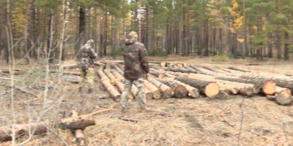 � ���������� �������� 17 ������� ���������� ����� ���� �� ������