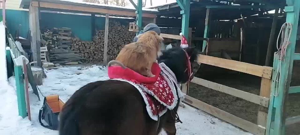 ������ �������. ������� ��������� ������ ��� ����������� �������� � ������ � ��������� �������, � � ���� � ��� ����, ��� ������ � ���� ������ ������� ��� ���������, ��� � ������� �������� �������