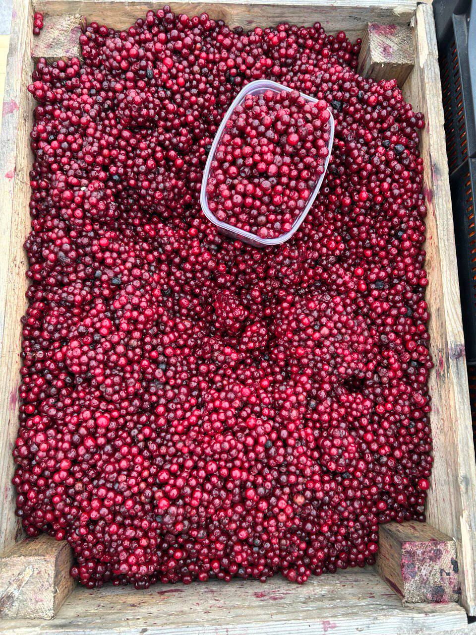 Подведены итоги Новогодней универсальной ярмарки выходного дня, которая проходила в минувшее воскресенье, 28 декабря, на пересечении улиц Лазо и Ярославского Подведены итоги Новогодней универсальной ярмарки выходного дня, которая проходила в минувшее воскресенье, 28 декабря, на пересечении улиц Лазо и Ярославского