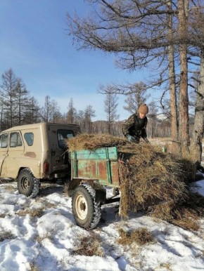 � ��������� ���������� ��� ����� ��� �������� �������