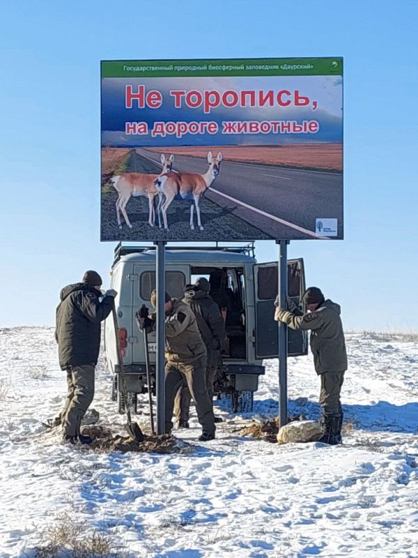 � ���������� ���������� �������������� ������ � �������� ��������� ������������ � ������ ���������� ������ �� ������ ��������