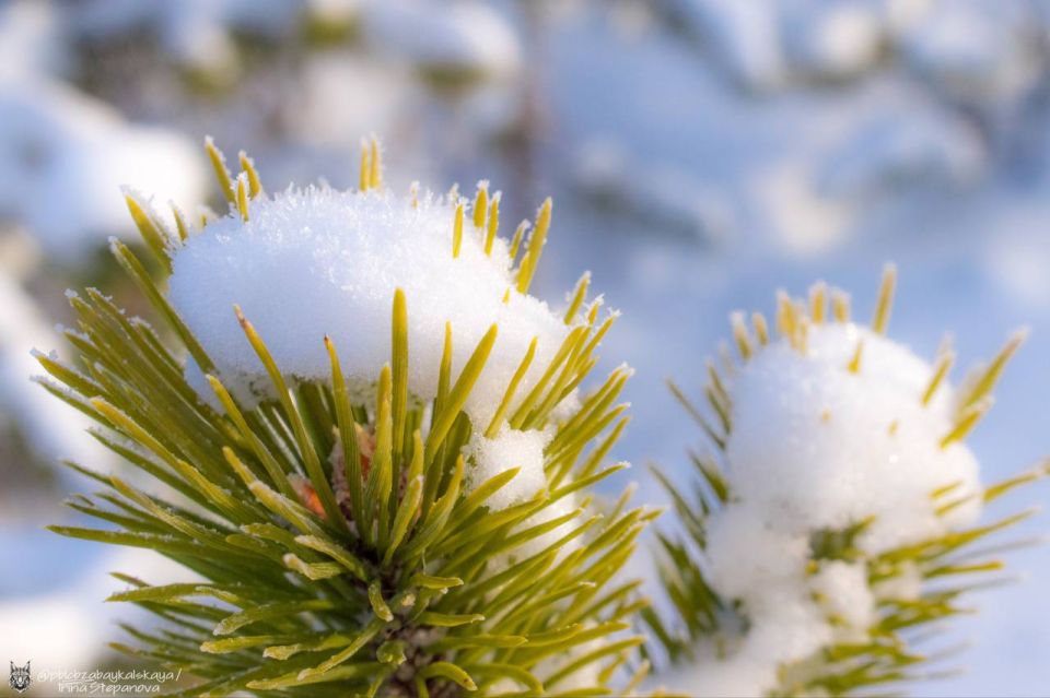 ������ ����, �����������. ��� � ������ ��������� ������� ���� � ���� ���� ����: ��- ����� �������� ������� @zabrtk | �� � MAX