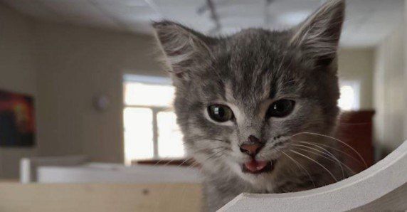 ����� ������� ������� ��������� �������� � ����-���������� ���������