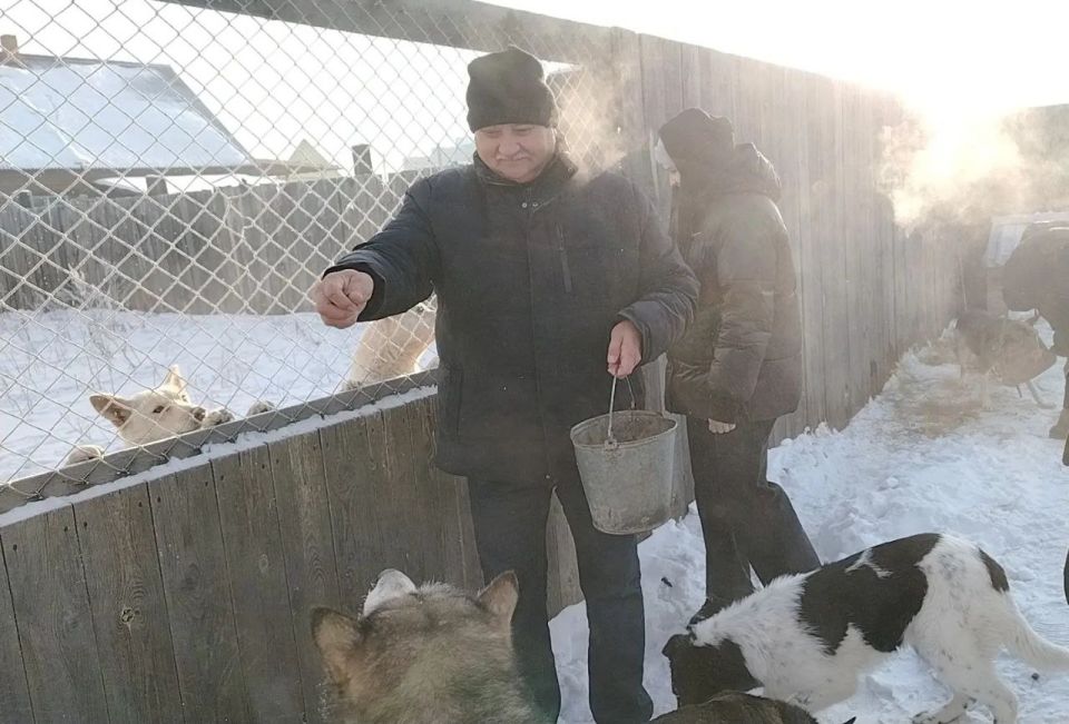 Новый год – праздник для всех, даже для наших четвероногих друзей!