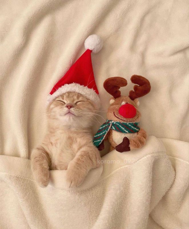 ������ ��������� ����� ���?