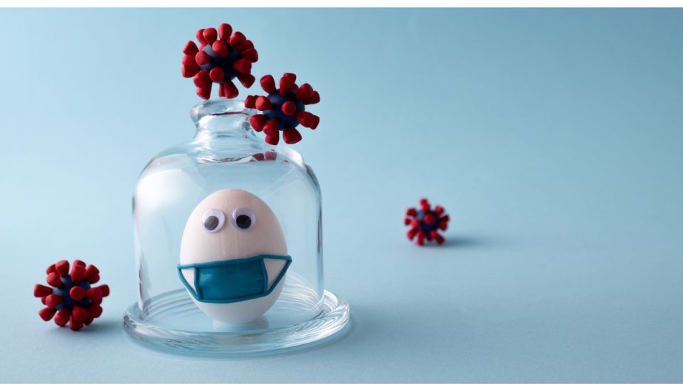 ��� ���������� �� �������: ����������� ������ � ������