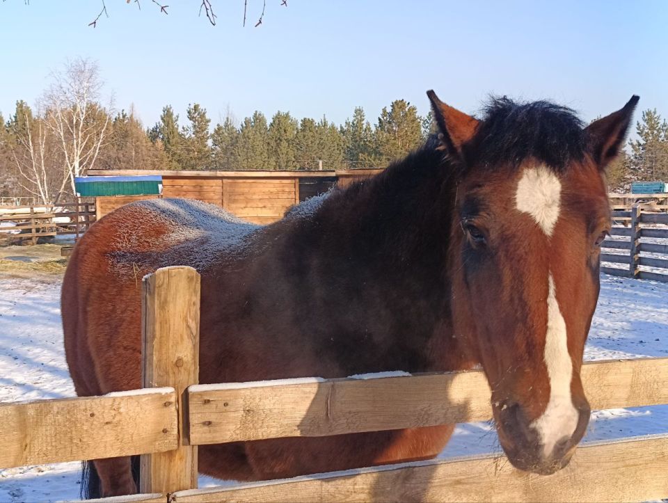 ����������� �������� � ��������� ������� � ���� ��������� ��� ������