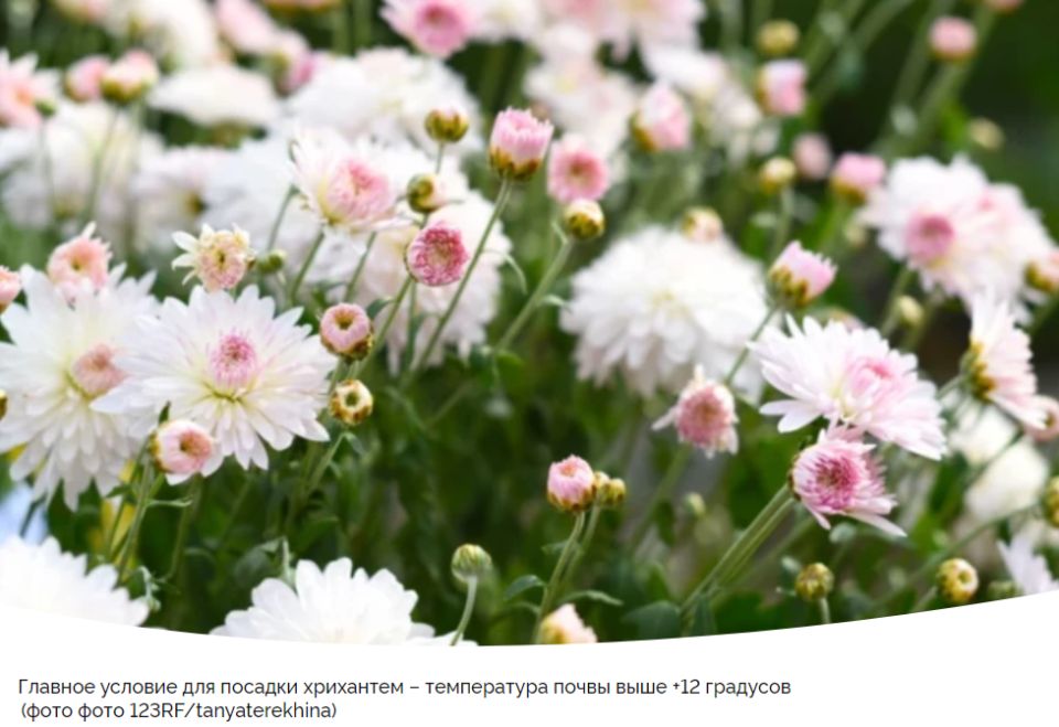 ������� �������� ������� ���������: ����� � ��� �����������