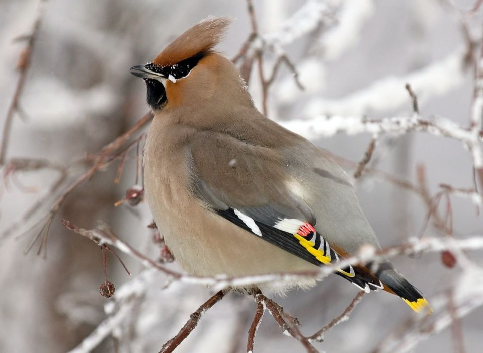 �������� ����� ������ ����� � ����������?