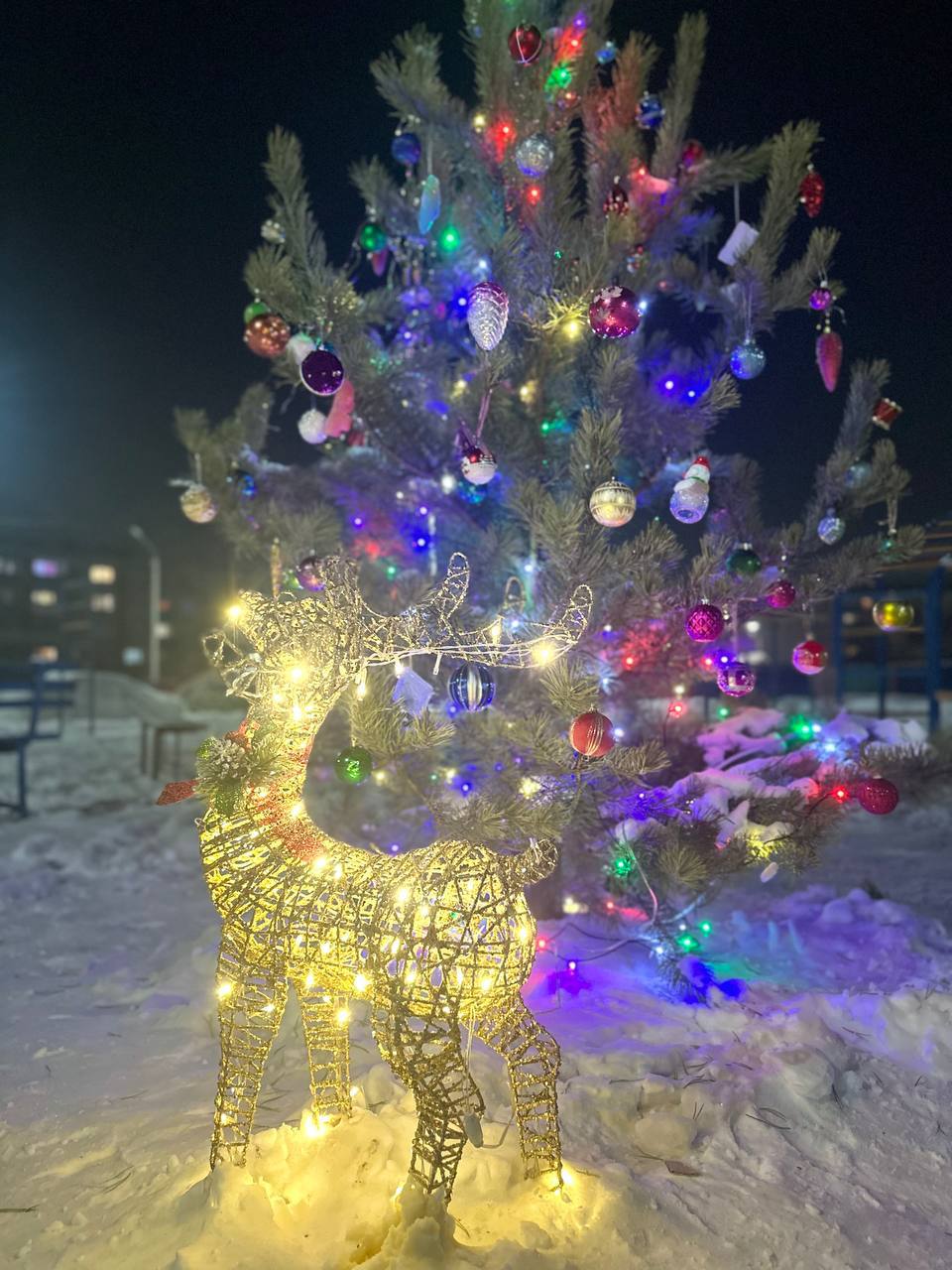 Продолжаем знакомить вас с тем, как жители Забайкалья создают новогоднюю атмосферу