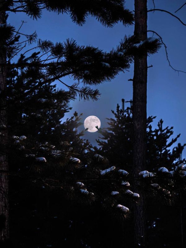 ��������� ��������!. �������� ������� ��� ������� ������ �������