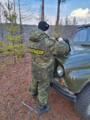 � ���������� ������� ������������ ��������� �������