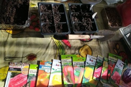 ����� ����� � ����� ���� ����� �� ������� � ������