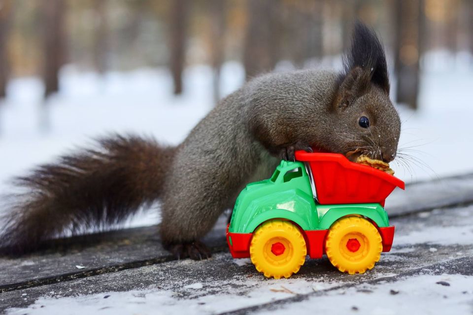 ������ ����. ����� ����������� ���� �������� ��� �������� ������ � ������� ��� �������! ����: �������� �������� @zabrtk | �� � MAX