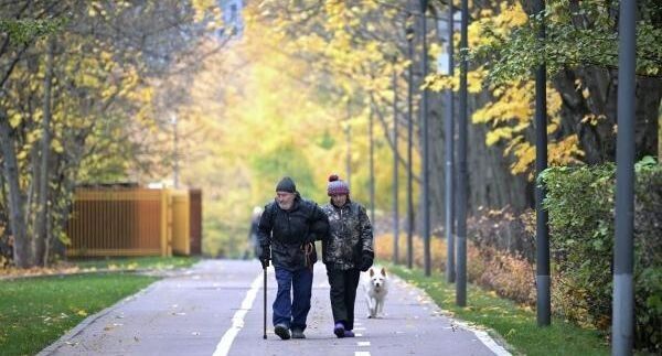 Где в России проживает больше всего пенсионеров: удивительные факты