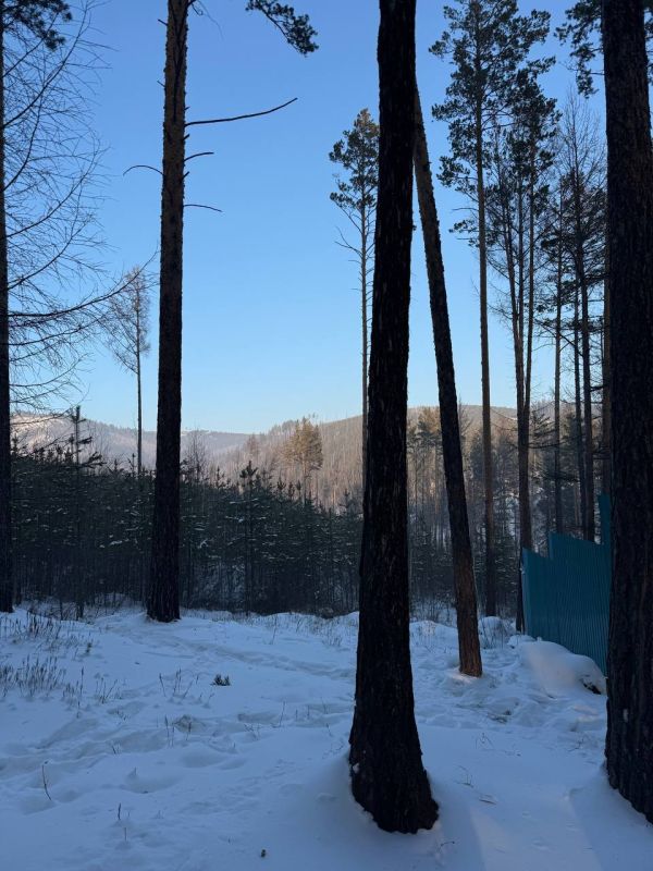 Доброе утро, забайкальцы. Желаем чтобы ваш день прошел тепло и уютно