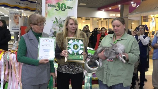 1234. � ���� ������ ������������� �������� �����