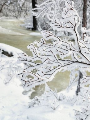 ������ ����, �����������!. ����������� ��� � ���������� ���������! ����� ���� ���� ����� �������� ������ � �����, � ����� �������� ����� �������� � �������� ��������! ���� ��������� �������� @zabrtk | �� � MAX