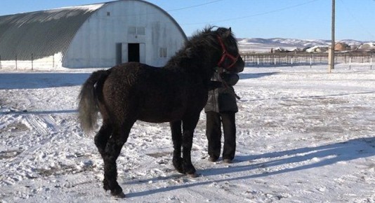 ������� ��������� ���������� ������� ������� ������ ������������ ���������� ���� � ��������