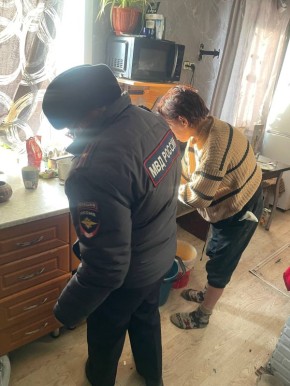 Органами и учреждениями системы профилактики в течение новогодних каникул проводятся профилактические рейды по семьям, состоящим на учёте