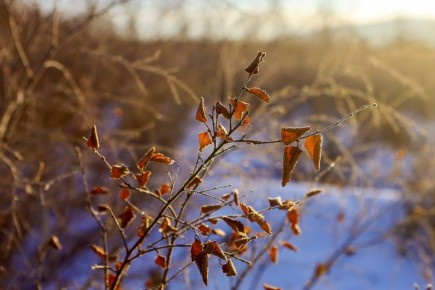 ������ ����, ����������� � ����� �������! ������� ������� � 8 ������